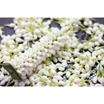 Arrangement Jasmine Flowers